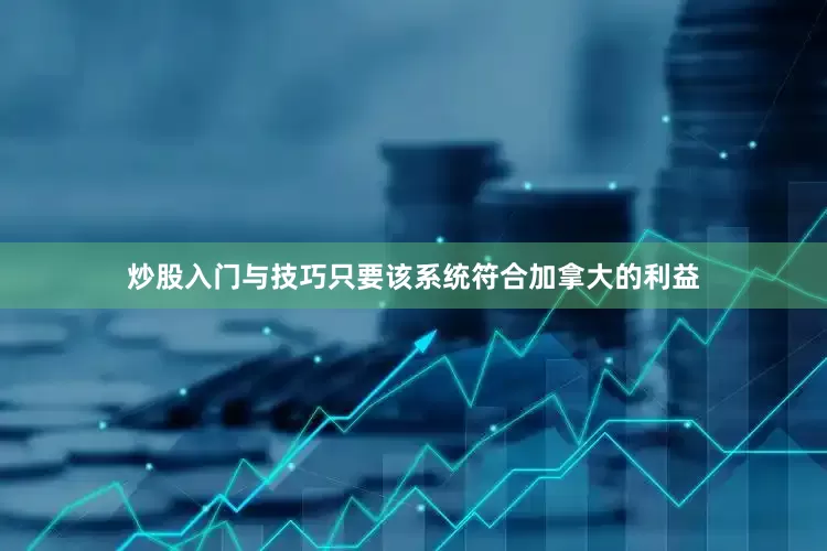 炒股入门与技巧只要该系统符合加拿大的利益